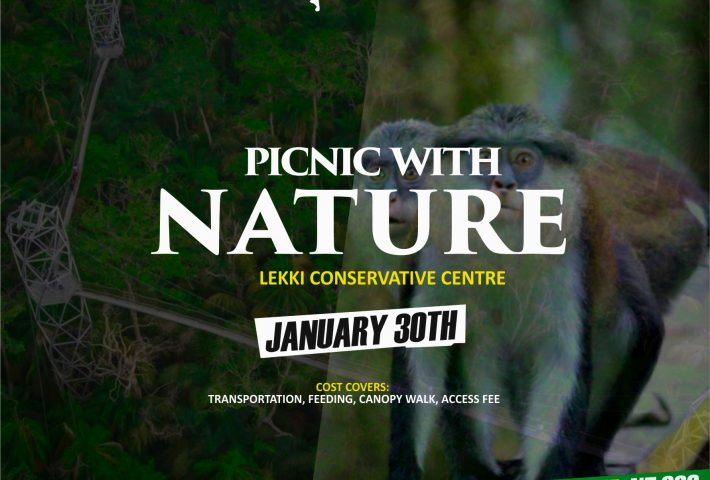 PICNIC WITH NATURE